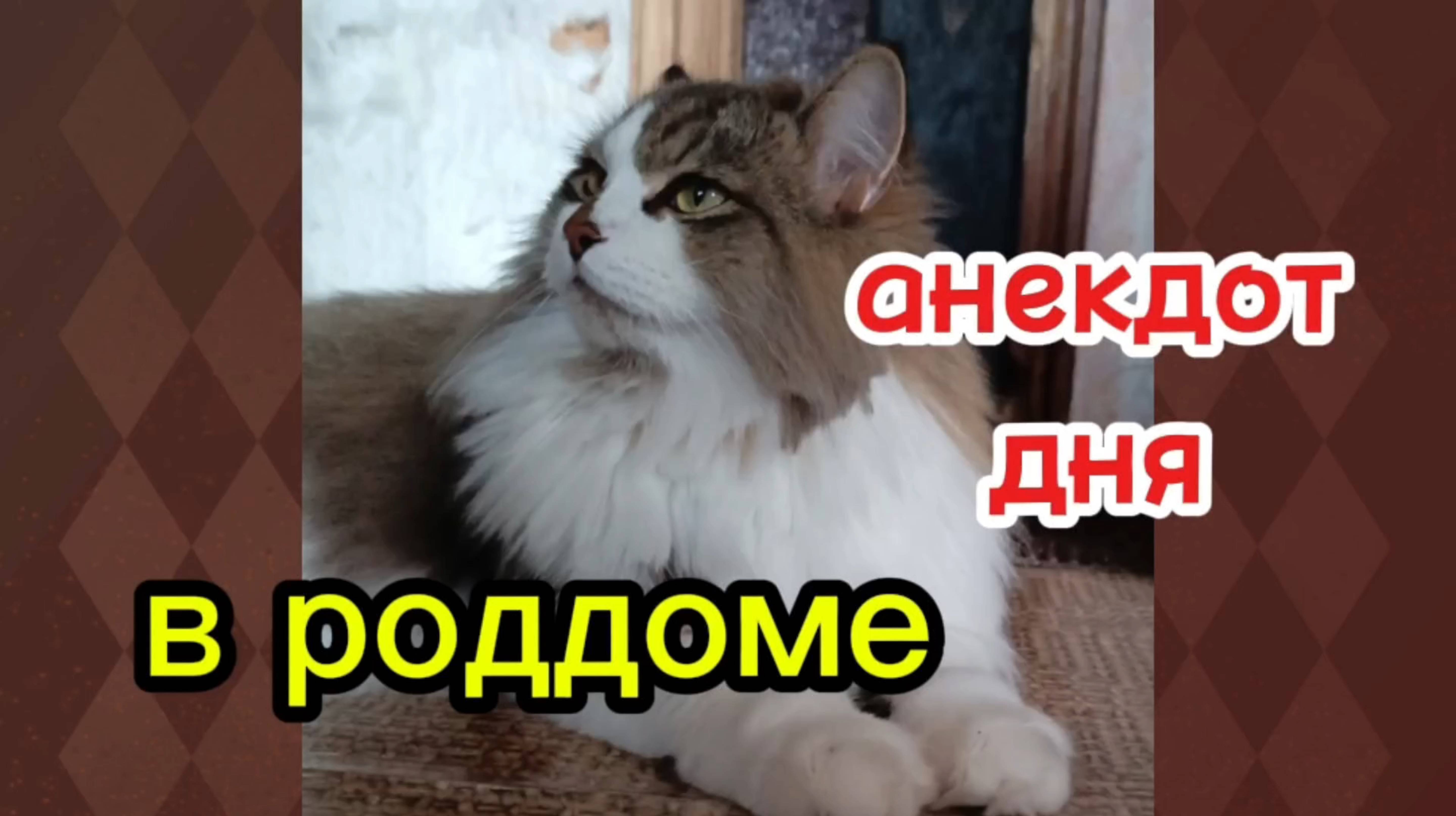 Анекдот дня. В роддоме.