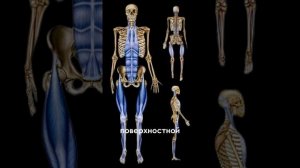 Болит тело после сна? Есть зажимы и дискомфорт?