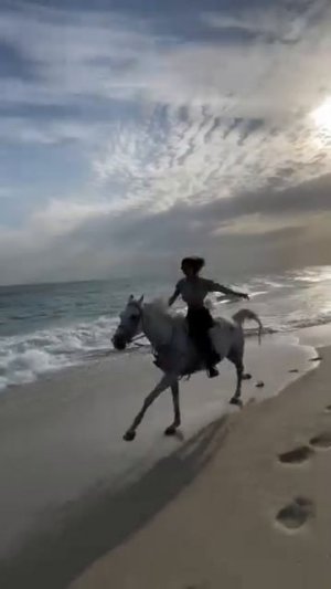 По Берегу Галопом 🌊🐴