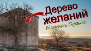 Дерево желаний в Крыму. Пещерный город Чуфут-Кале