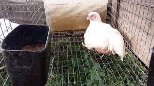 VID_20250716_073430