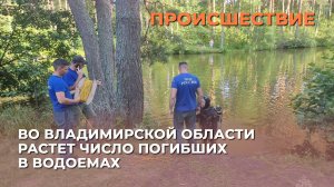 Во владимирской области растет число погибших в водоемах