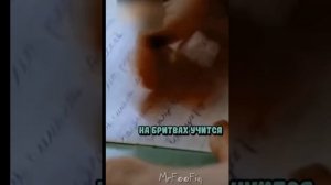Похороните меня за плинтусом