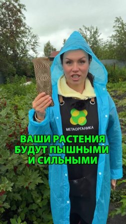 Ваши растения будут пышными и сильными, используя это
