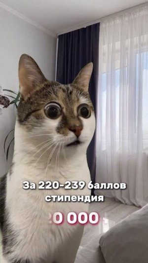 Повышенная стипендия в КузГТУ 👍🏻