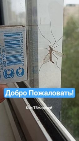 Приезжайте к нам в Якутск!