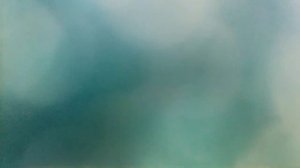 кооооооооооооты