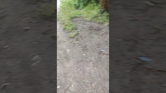 Гуляю (часть 1)