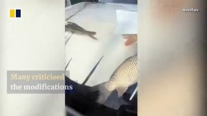 В Китае владелец Li Auto L9 устроил АКВАРИУМ прямо на капоте.

В сети вирусится ролик с тачкой китай