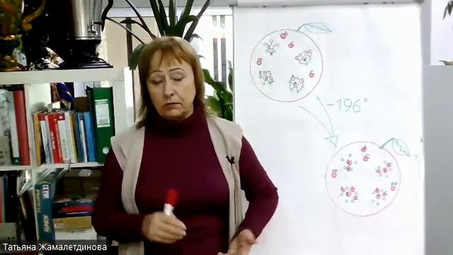 Дефицит минорных компонентов пищи.