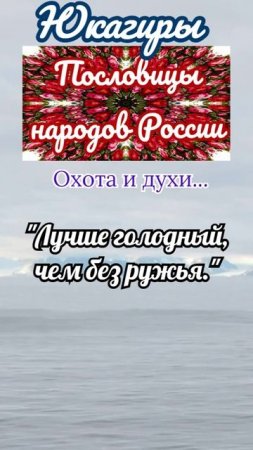 пословицы #сезон контента RUTUBE