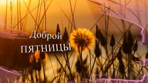 С добрым утром, мир зовет! Доброго утра пятницы. Песня с добрым утром