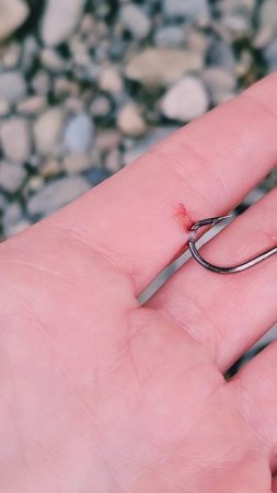 16 июля 2025. Лицензионка на Оле. Я попалась на крючок! 😆🎣🐟 #nastikae #fishing #горбуша