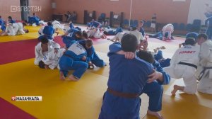 Дзюдо и борьба на одной площадке