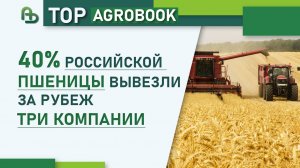 40% российской пшеницы вывезли за рубеж три компании | TOP Agrobook: обзор аграрных новостей