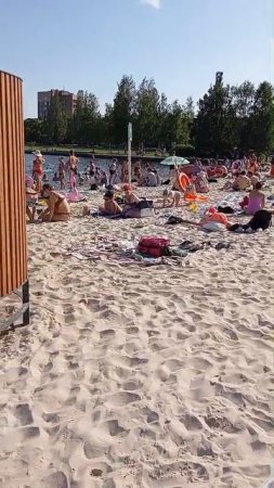 Лето в Питере,  жара пляж отдых