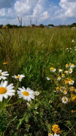 Родные дали и этот трек 😍

#природа #россия #топ