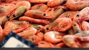 Эндокринолог Яцишина назвала самый эффективный способ восполнить дефицит йода