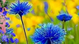 Непридуманные истории рассказы - Как отомстить изящно и беспощадно...