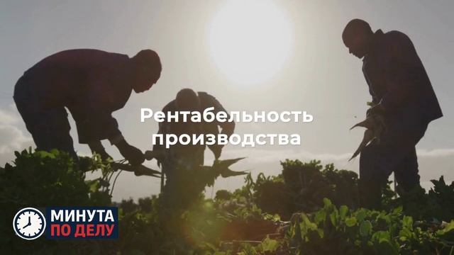 В Минсельхозе предложили зафиксировать цену на яйца