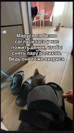 16-07-2025
