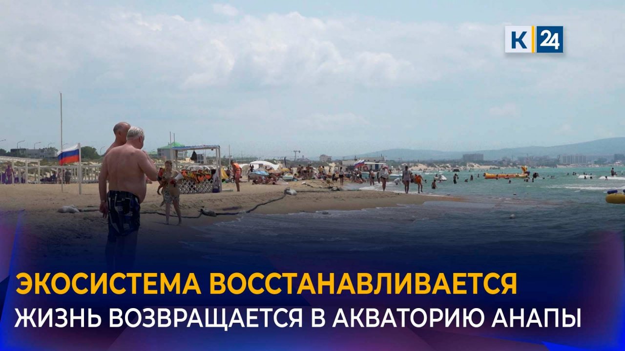 Ученые сообщили о начале восстановления экосистемы Анапы после ЧС с мазутом