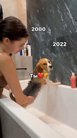 Когда поколение младше тебя уже имеет детей😃