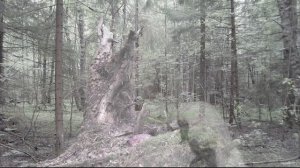 Новая локация