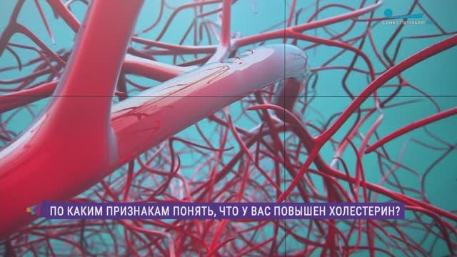 Как держать холестерин под контролем и по каким признакам понять, что пора к врачу
