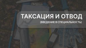Таксация и отвод. Урок 1