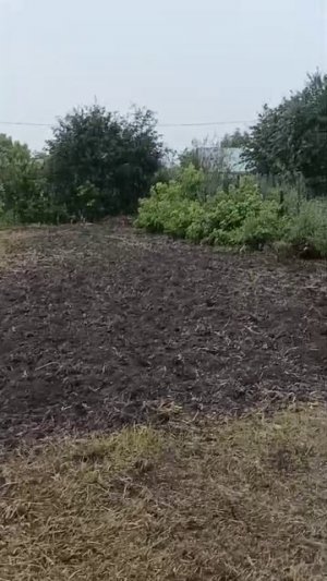 1000068622.mp4