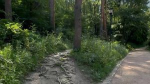 Какие маршруты Кисловодского парка я выбираю, чтобы увеличить нагрузку.