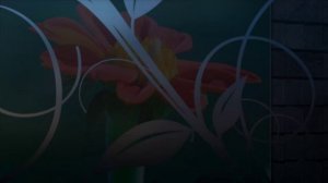 Anhidema - Luna Moth