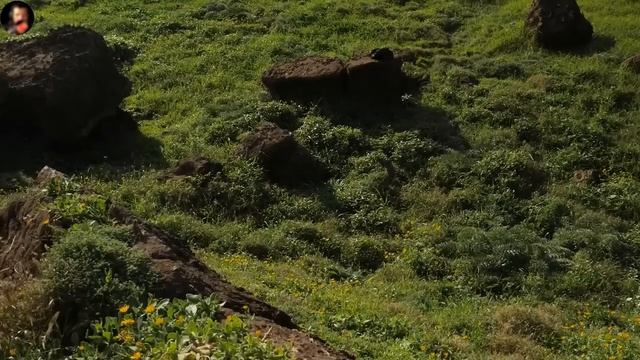 Оно в темноте. Страшные. Мистические. Творческие истории. Хоррор
