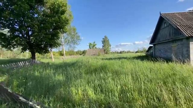 Видеообзор