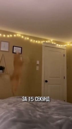 Животные приколы и не только