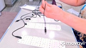 КОМНАТНЫЕ РАСТЕНИЯ(ЦВЕТЫ).ПРИШЛИ ФИТО ЛАМПЫ ДЛЯ ТЕПЛИЧЕК,С OZON!!!