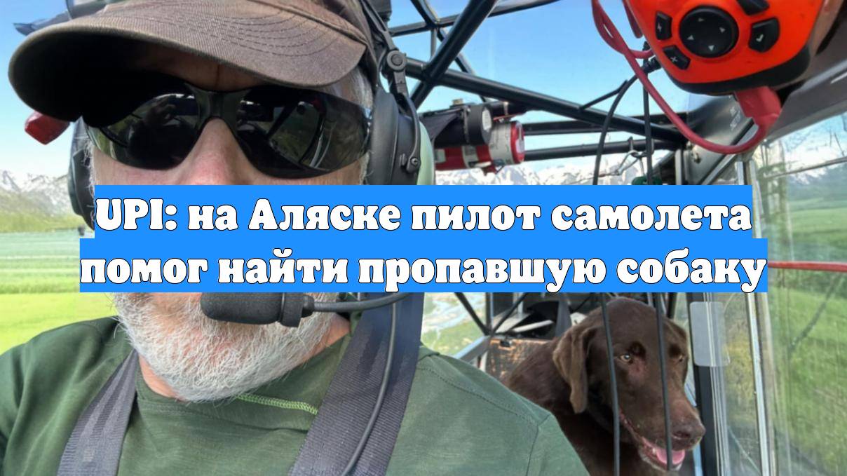 UPI: на Аляске пилот самолета помог найти пропавшую собаку