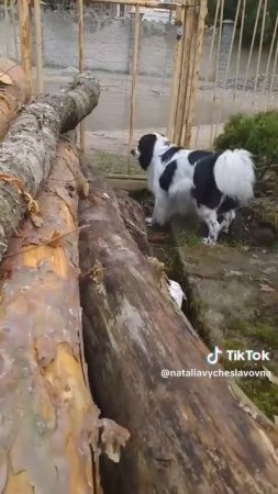 Хозяйственный...)))