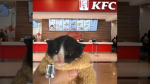 Теперь поём в KFC
