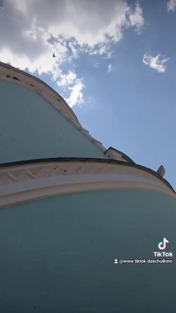 ласточки 🕊️