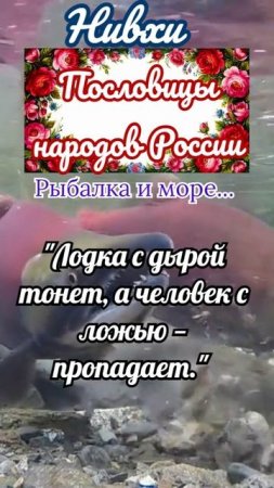 пословицы