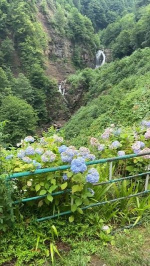 Невероятное место для отдыха и для того чтобы собрать свои мысли! Обалденные завтраки)