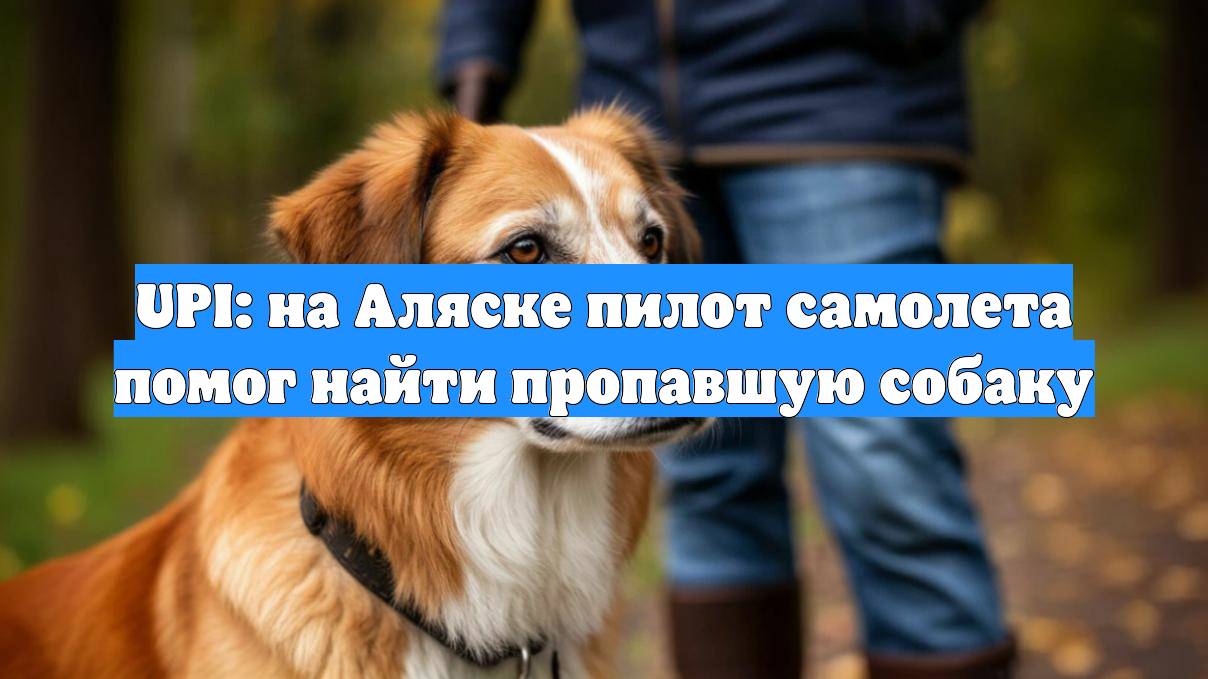 UPI: на Аляске пилот самолета помог найти пропавшую собаку