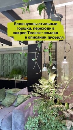#озеленение #фитодизайн #комнатныерастения