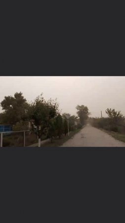 Чернозем в небе, пильная буря