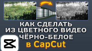 Как сделать из цветного видео чёрно-белое, цветокоррекция в CapCut