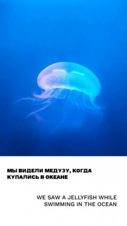 Медуза