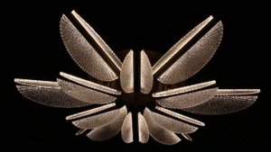 00490-0.3-6+6