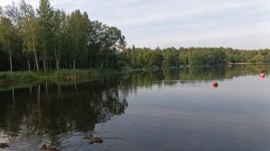 Магнолия